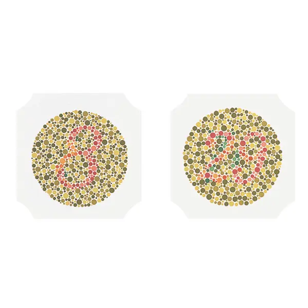 Ishihara colour blindness test charts Test-chart book